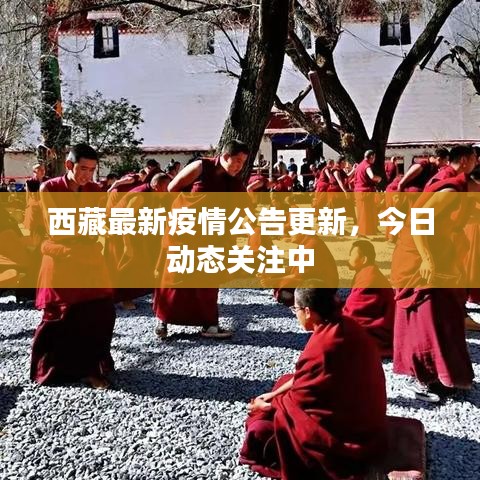 西藏最新疫情公告更新，今日動態(tài)關(guān)注中