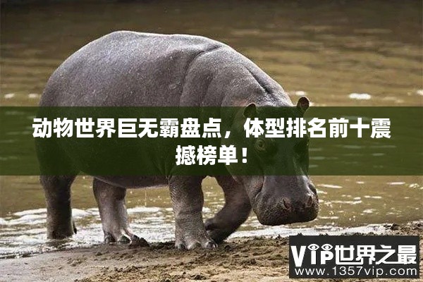 動(dòng)物世界巨無(wú)霸盤點(diǎn)，體型排名前十震撼榜單！