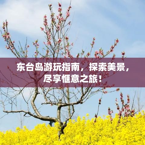 東臺(tái)島游玩指南，探索美景，盡享愜意之旅！