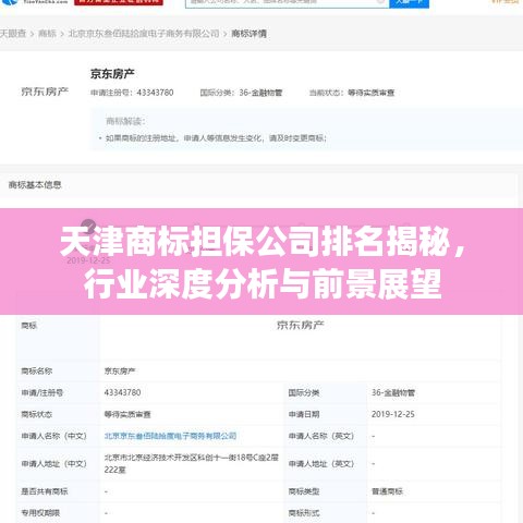 天津商標(biāo)擔(dān)保公司排名揭秘，行業(yè)深度分析與前景展望