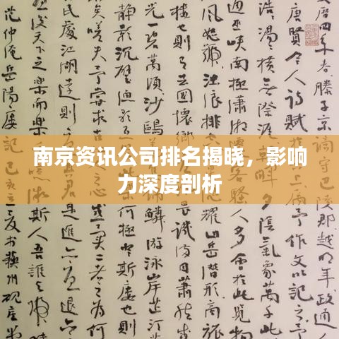 南京資訊公司排名揭曉，影響力深度剖析