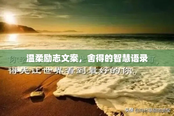 溫柔勵(lì)志文案，舍得的智慧語錄