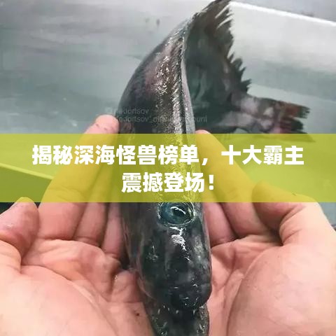 揭秘深海怪獸榜單，十大霸主震撼登場！