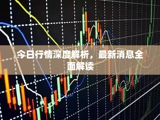 今日行情深度解析，最新消息全面解讀