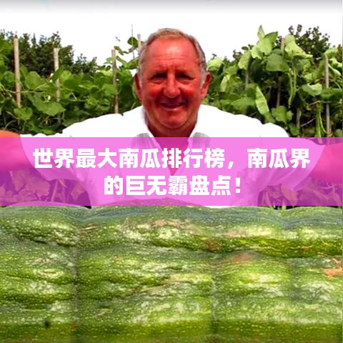 世界最大南瓜排行榜，南瓜界的巨無(wú)霸盤點(diǎn)！