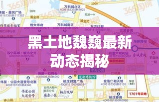 黑土地魏巍最新動(dòng)態(tài)揭秘