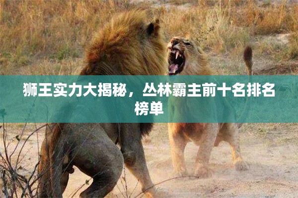 獅王實(shí)力大揭秘，叢林霸主前十名排名榜單