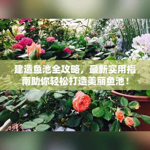 建造魚池全攻略，最新實(shí)用指南助你輕松打造美麗魚池！
