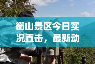 衡山景區(qū)今日實(shí)況直擊，最新動態(tài)與旅游體驗(yàn)分享