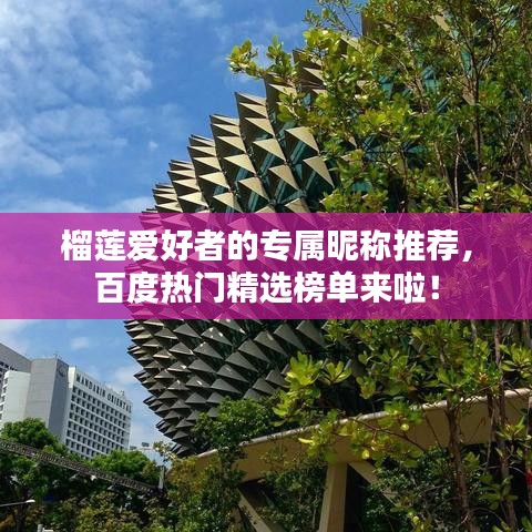 榴蓮愛好者的專屬昵稱推薦，百度熱門精選榜單來啦！