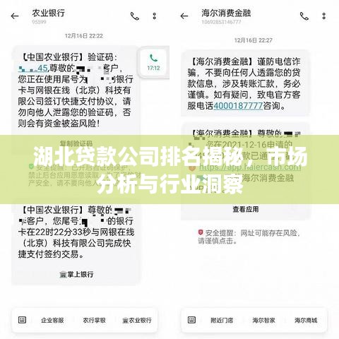 湖北貸款公司排名揭秘，市場分析與行業(yè)洞察