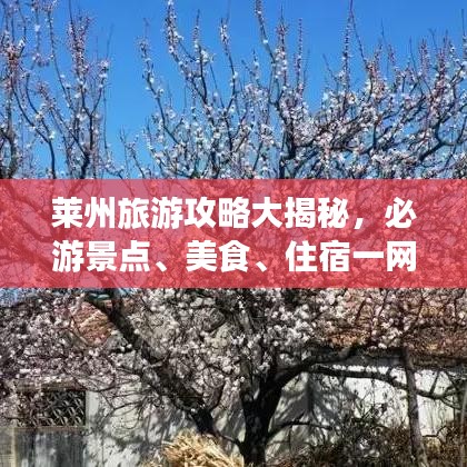 萊州旅游攻略大揭秘，必游景點、美食、住宿一網(wǎng)打盡！