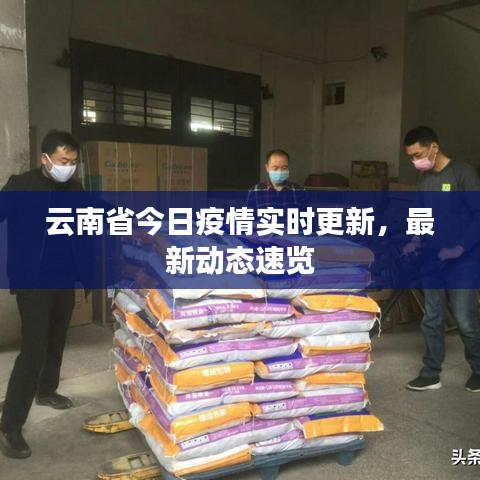 云南省今日疫情實時更新，最新動態(tài)速覽