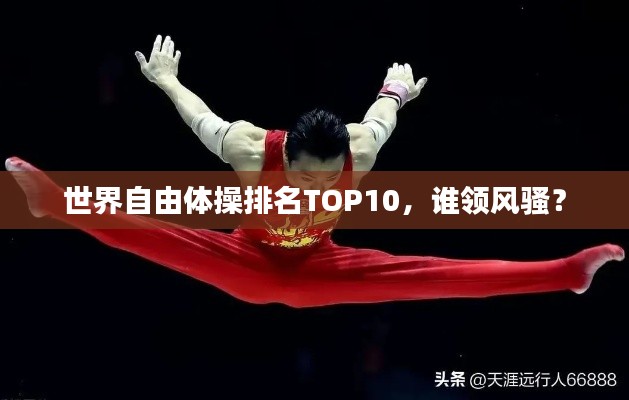 世界自由體操排名TOP10，誰領風騷？