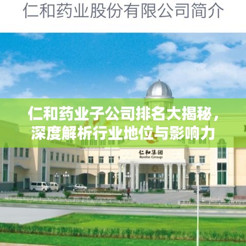 仁和藥業(yè)子公司排名大揭秘，深度解析行業(yè)地位與影響力
