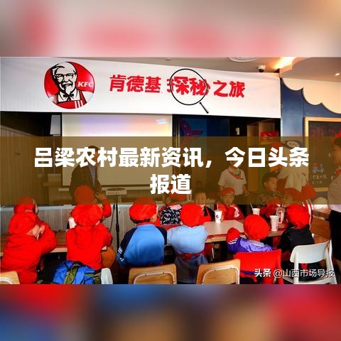 呂梁農(nóng)村最新資訊，今日頭條報道