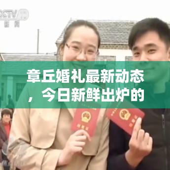 章丘婚禮最新動態(tài)，今日新鮮出爐的婚禮消息匯總