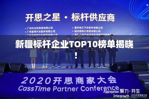 新疆標(biāo)桿企業(yè)TOP10榜單揭曉！