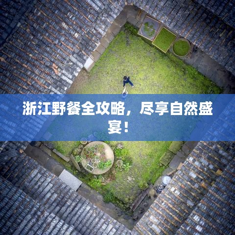浙江野餐全攻略，盡享自然盛宴！