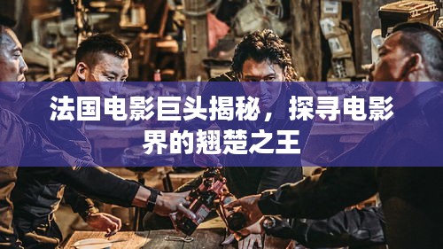 法國(guó)電影巨頭揭秘，探尋電影界的翹楚之王