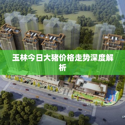 玉林今日大豬價(jià)格走勢深度解析