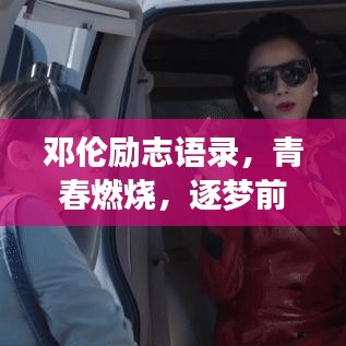產(chǎn)品展示 第217頁