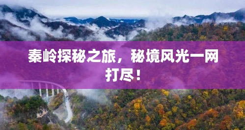 秦嶺探秘之旅，秘境風(fēng)光一網(wǎng)打盡！