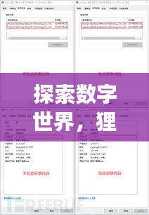 探索數(shù)字世界，貍窩下載器助你輕松百度暢游
