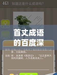 首丈成語的百度深度探索之旅