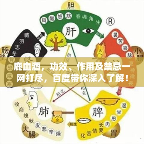 鹿血酒，功效、作用及禁忌一網(wǎng)打盡，百度帶你深入了解！