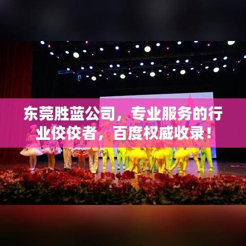 東莞勝藍(lán)公司，專業(yè)服務(wù)的行業(yè)佼佼者，百度權(quán)威收錄！