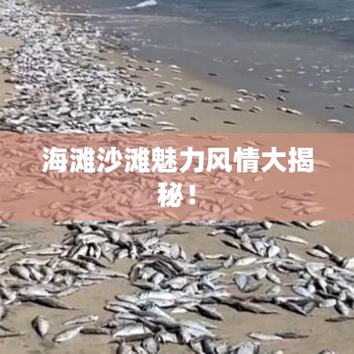 海灘沙灘魅力風(fēng)情大揭秘！