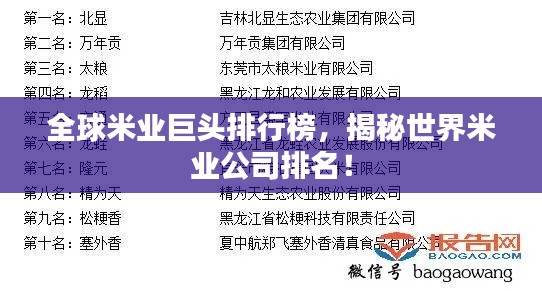 全球米業(yè)巨頭排行榜，揭秘世界米業(yè)公司排名！