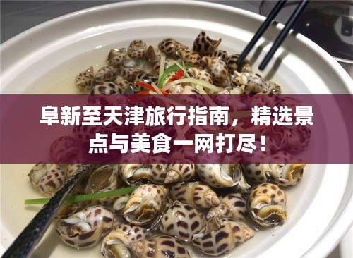 阜新至天津旅行指南，精選景點(diǎn)與美食一網(wǎng)打盡！