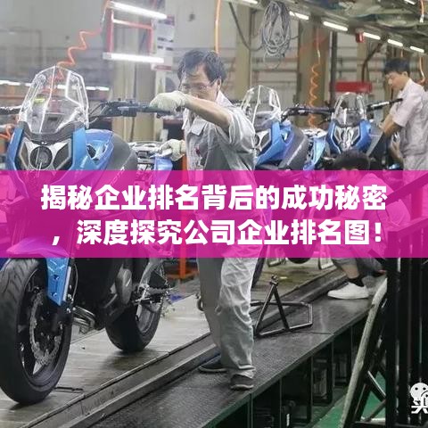 揭秘企業(yè)排名背后的成功秘密，深度探究公司企業(yè)排名圖！