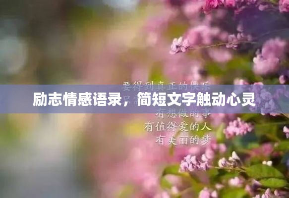 勵(lì)志情感語錄，簡(jiǎn)短文字觸動(dòng)心靈