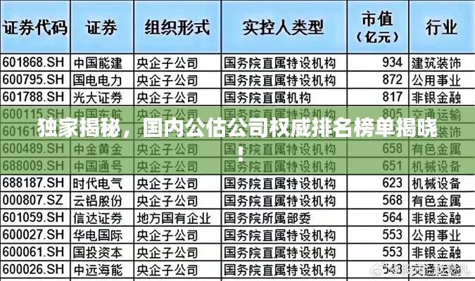 獨(dú)家揭秘，國內(nèi)公估公司權(quán)威排名榜單揭曉！