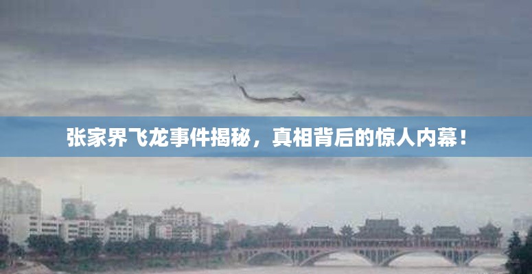 張家界飛龍事件揭秘，真相背后的驚人內(nèi)幕！