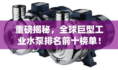 重磅揭秘，全球巨型工業(yè)水泵排名前十榜單！