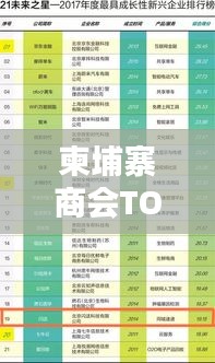 柬埔寨商會TOP10榜單揭曉，揭秘排名前十的商會！