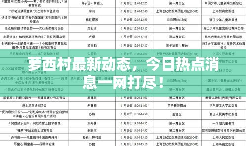 蘿西村最新動(dòng)態(tài)，今日熱點(diǎn)消息一網(wǎng)打盡！