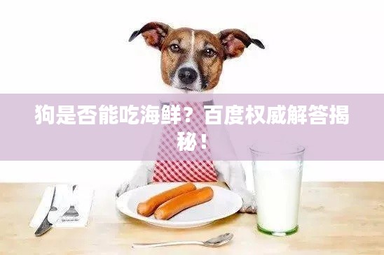 狗是否能吃海鮮？百度權(quán)威解答揭秘！