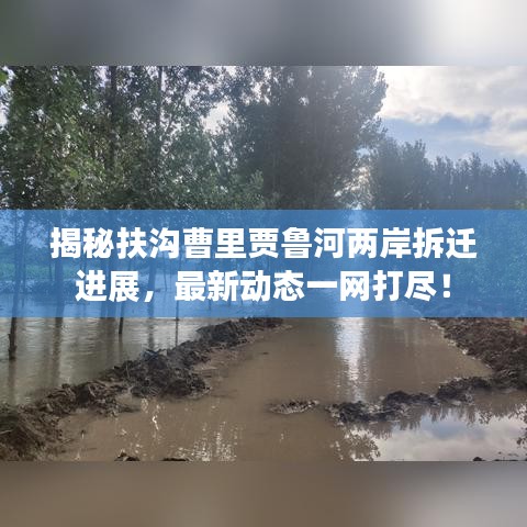 揭秘扶溝曹里賈魯河兩岸拆遷進展，最新動態(tài)一網(wǎng)打盡！