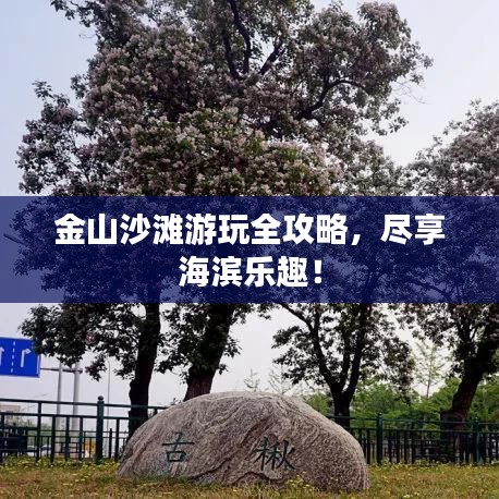 金山沙灘游玩全攻略，盡享海濱樂(lè)趣！