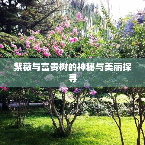 省吃細用 第2頁
