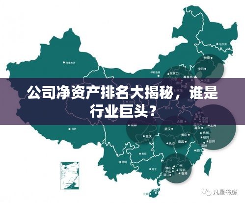 公司凈資產(chǎn)排名大揭秘，誰是行業(yè)巨頭？