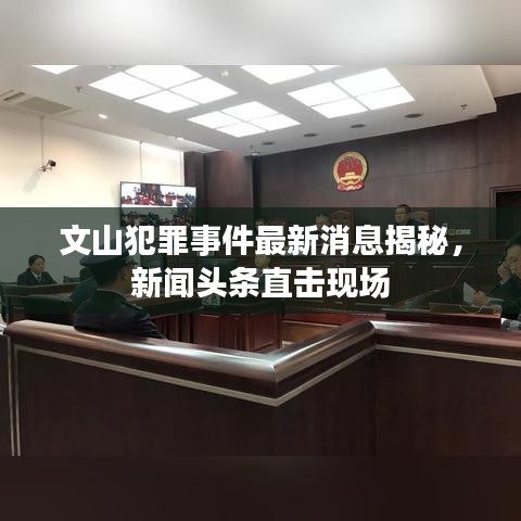 文山犯罪事件最新消息揭秘，新聞?lì)^條直擊現(xiàn)場(chǎng)