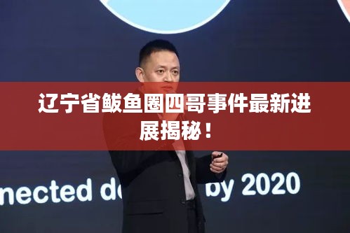 遼寧省鲅魚圈四哥事件最新進(jìn)展揭秘！