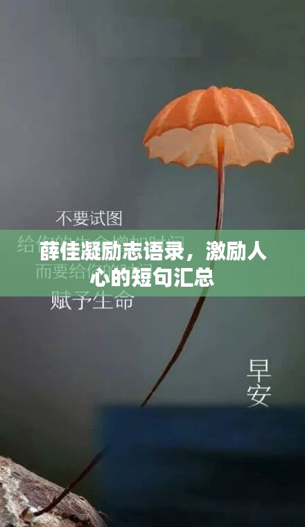 薛佳凝勵志語錄，激勵人心的短句匯總