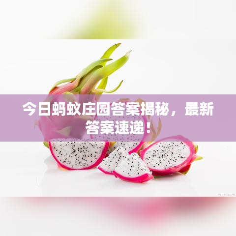 今日螞蟻莊園答案揭秘，最新答案速遞！